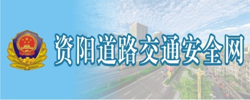 鸡巴艹美女资阳道路交通安全网